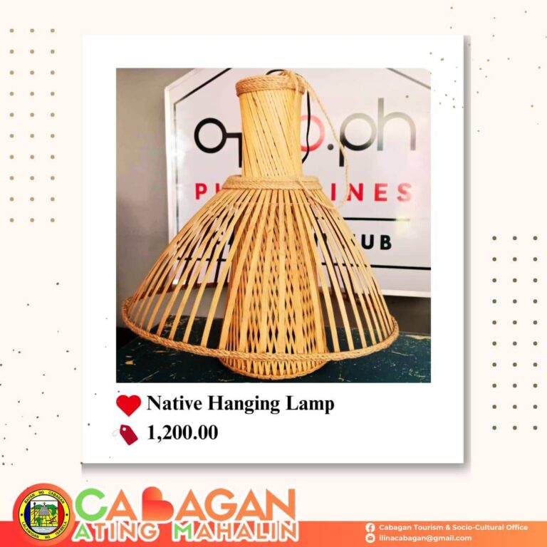 480731228 524458053992440 5894436475213470834 n